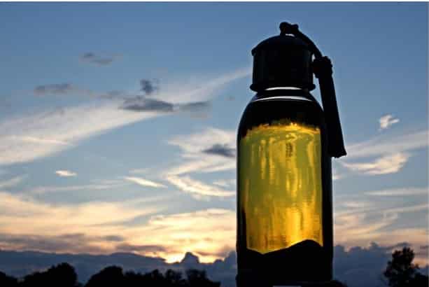Olio di Argan: Tutto quello che devi sapere su proprietà e benefici