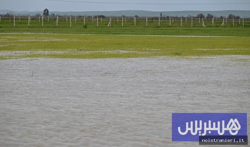 Aiuti a semi e fertilizzanti nel Gharb 2026