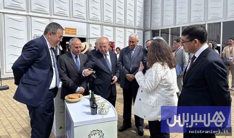 Olio d’oliva marocchino premiato a Meknès 2026