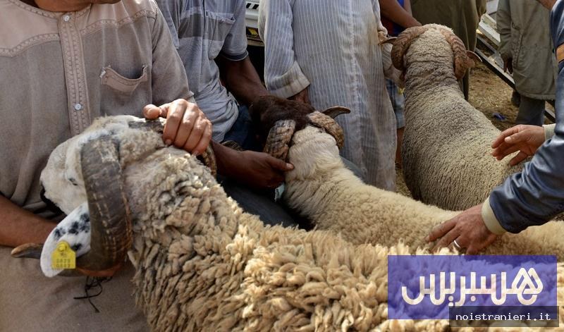 Anticipo salari Marocco festa Sacrificio 2026