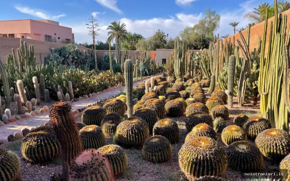 Truffatore internazionale arrestato a Marrakech 2026