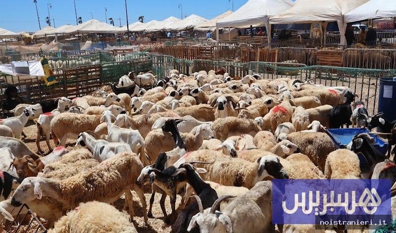 Divieto vendita offerte sacrificali parcheggi Marocco 2026