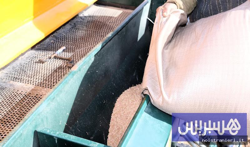 Grano tenero Marocco regolamentazione e scorte 2026