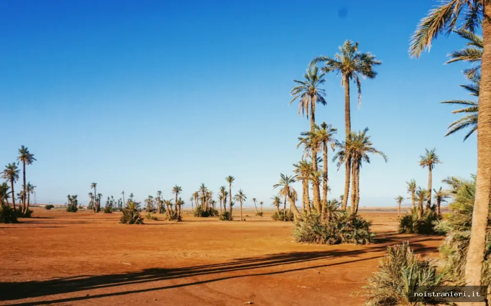 Marocco strategia acqua 2026