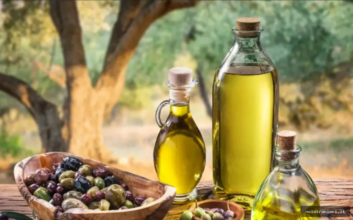Olio d'oliva marocchino qualità 2026