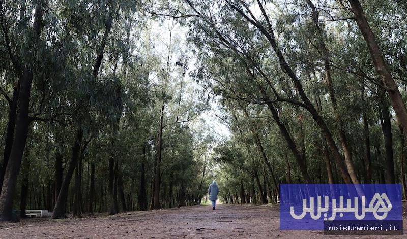 Ambiente Marocco sfide e conquiste 2026