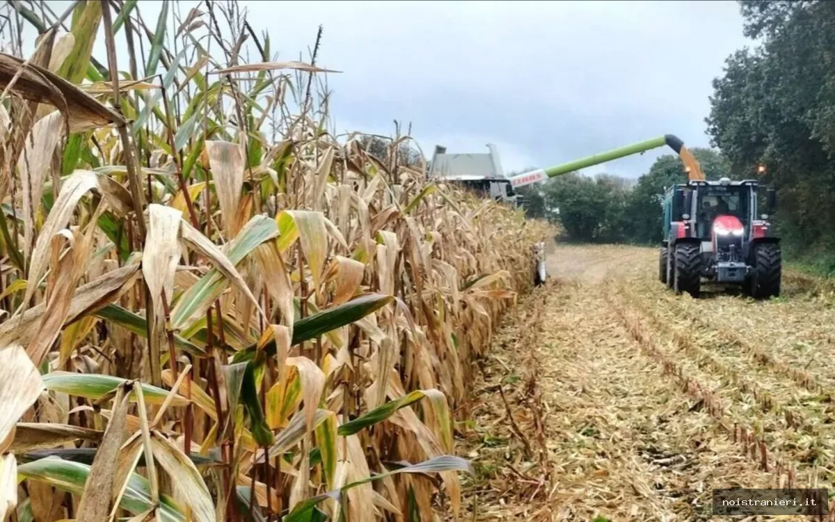 Cadmio fertilizzanti Marocco Francia 2026