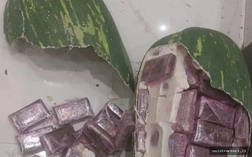 Hashish camuffato da angurie sequestrato a Tangeri 2026