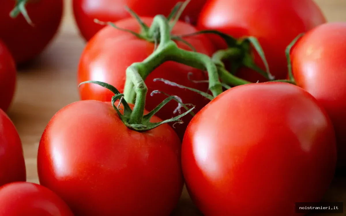 Marocco e Russia: approvvigionamento alimentare 2026