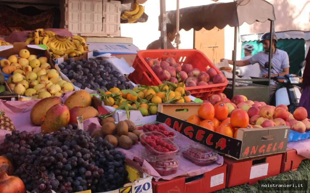 Prezzi ortaggi Marocco calo temporaneo 2026