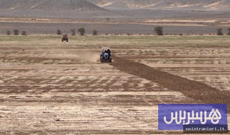 Progetto Ain Al-Nakhla sviluppo agricolo Marocco 2026