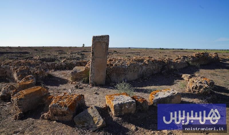Vita marina antica Marocco 358 milioni anni 2026