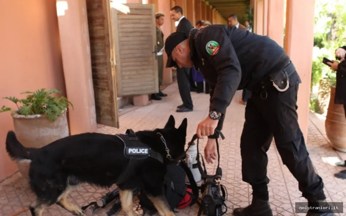 Arresto francese Casablanca furto auto riciclaggio 2026