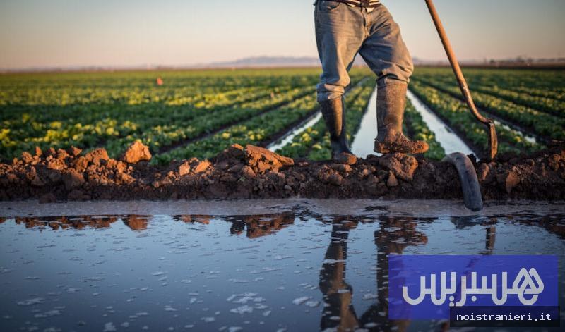 Caldo e agricoltura in Marocco 2026: impatti e strategie