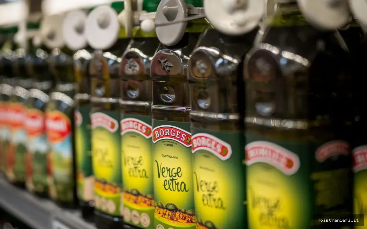 Olio d’oliva marocchino in Spagna crescita 2026