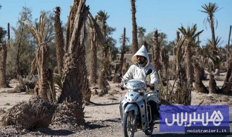 Ondata di Calore Marocco Temperature 2026