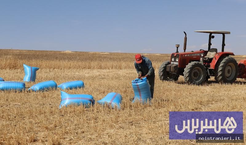 Strategia Generazione Verde Marocco sfide agricole 2026